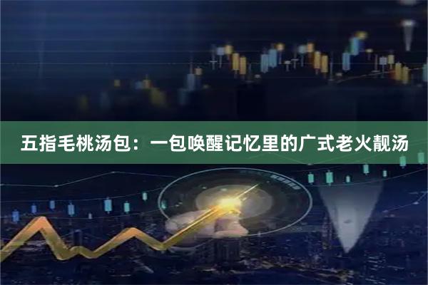 五指毛桃汤包：一包唤醒记忆里的广式老火靓汤