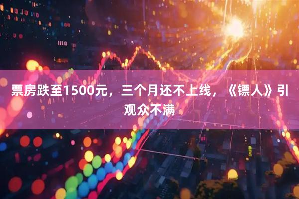 票房跌至1500元，三个月还不上线，《镖人》引观众不满