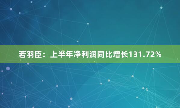 若羽臣：上半年净利润同比增长131.72%